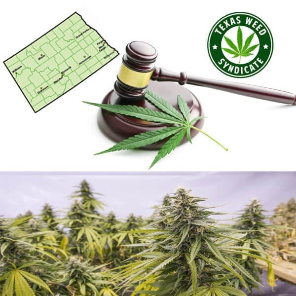 North Dakota Marijuana Legalization Legislation