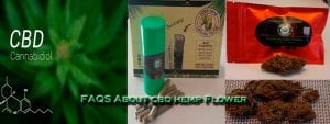 Read more about the article 8 Most Frequently Asked Question About CBD Hemp Flower