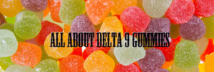 Read more about the article The Ultimate Guide To Hemp THC Delta 9 Gummies