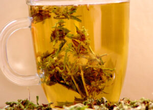 Read more about the article Cannabis Infused Tea Using THCA / THC