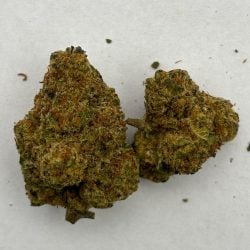 Lemon Cherry Gelato THCA Flower (Sativa Dominant Hybrid)
