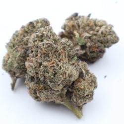 Permanent Marker THCA Flower