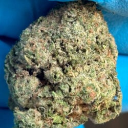 Ghost OG THCA Flower Indica dominant strain