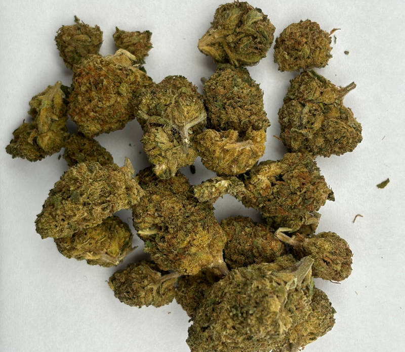 gelato punch bunch updated pic