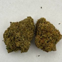 gelato punch new pic