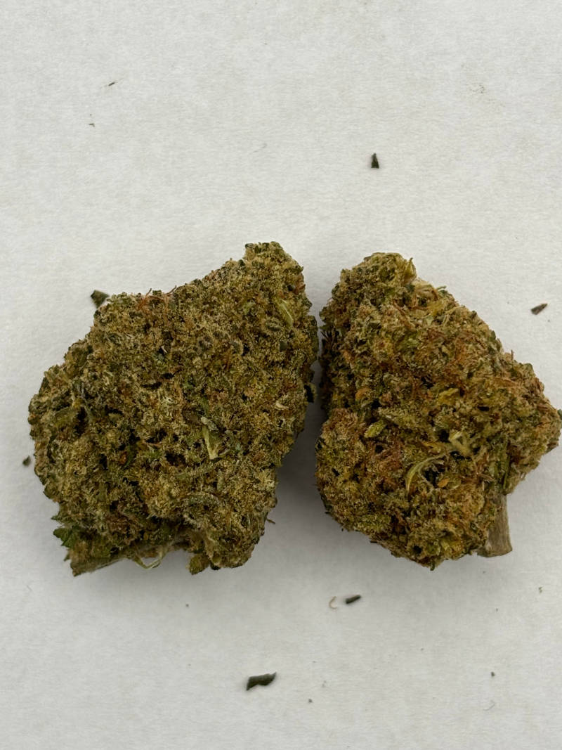 gelato punch new pic