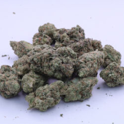 Gumbo THCA Flower (Indica)