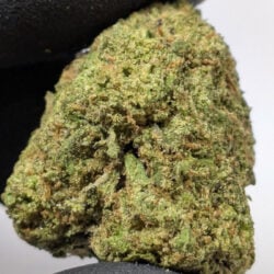 Gumbo THCA Flower (Indica)