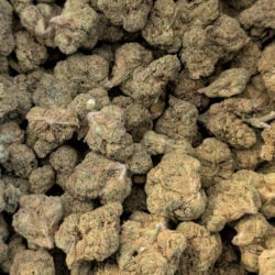 Obama Runtz THCA Flower Indica (Dominant)