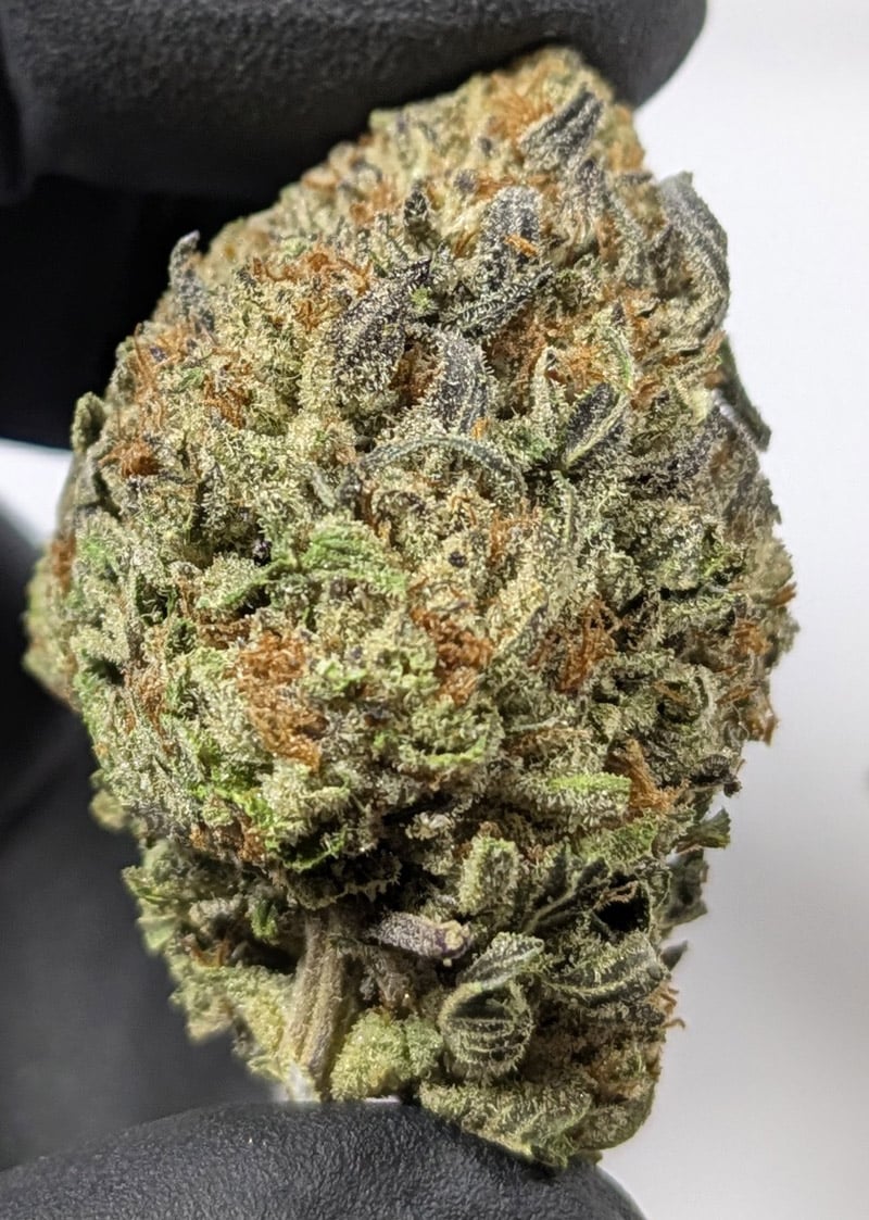 Buy Truffel Cake THCA Flower Indica Exotic