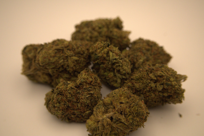 New Updated tangerine dream 1/9/25