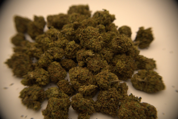 New Updated tangerine dream 1lb 1/9/26