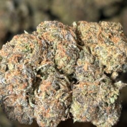 Cali Burger THCA Flower Indica Dominant