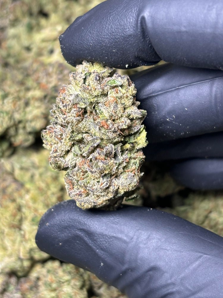 glitterbomb 1g available now