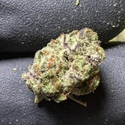 Modified Grapes THCA Flower Indica Dominant Hybrid Small Buds