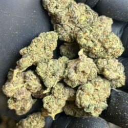 Wedding Cake Indica Dominant THCA Flower