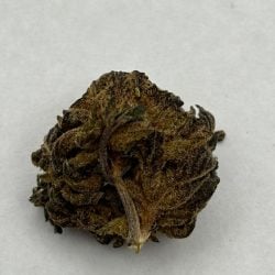 carbon fiber updated pic