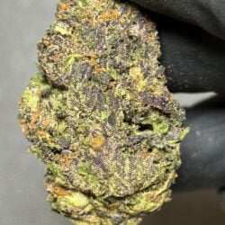 Purple ReignTHCA Flower Indica (Dominant)