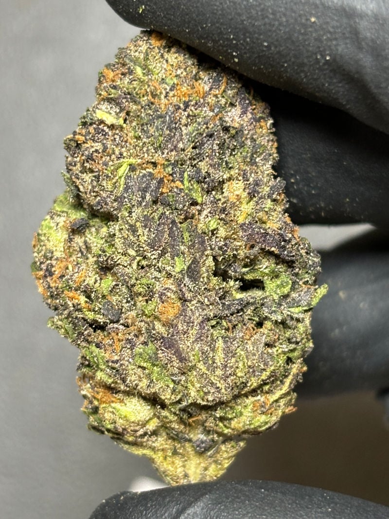 Buy purple reign thca flower 1g