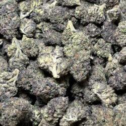 Purple ReignTHCA Flower Indica (Dominant)