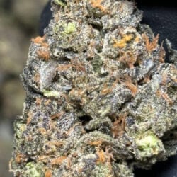 GMO THCA Flower Indica Dominant