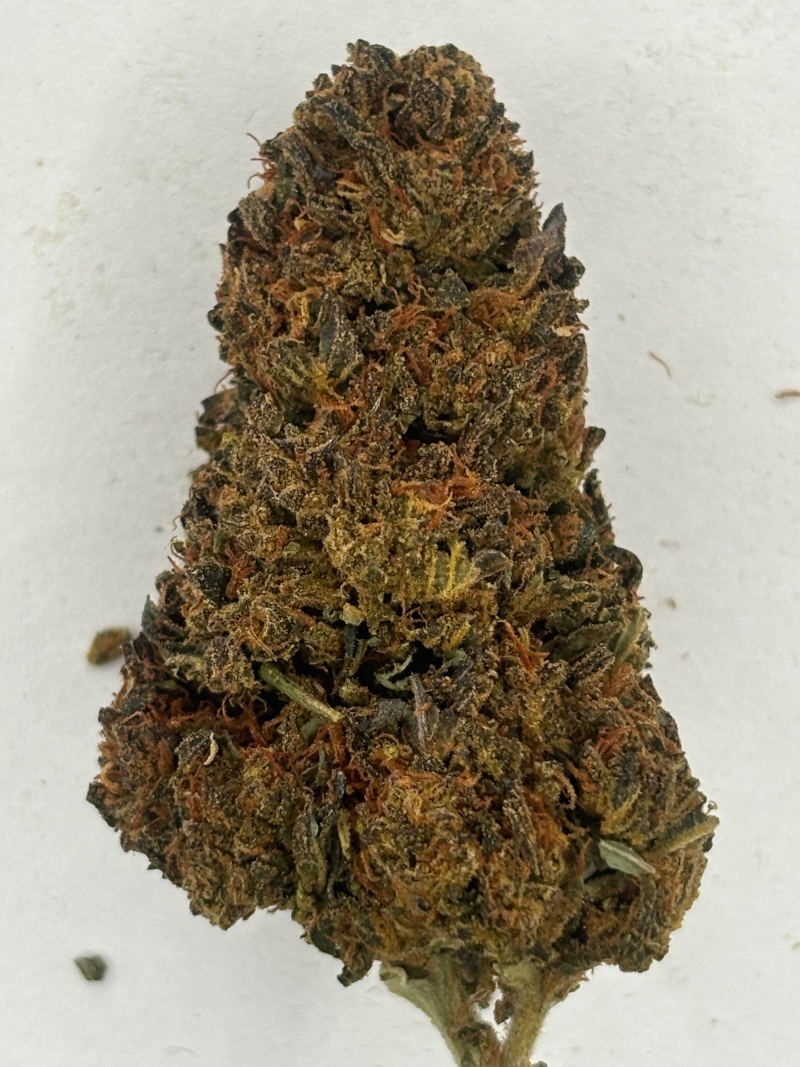 Mod Grapes 1g updated