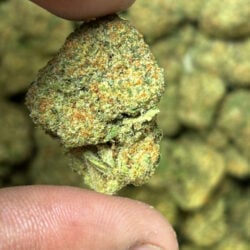 Illemonati THCA Flower Sativa Hybrid