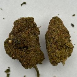 curelato updated pics