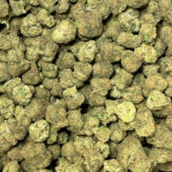 Illemonati THCA Flower Sativa Hybrid