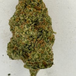 Papaya Punch THCA Flower Indica Dominant