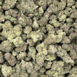 Blue Dream THCA Flower Sativa Dominant