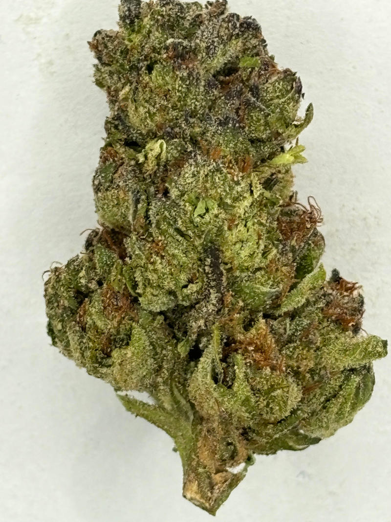 berry blender 1g