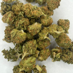 Gelato 41 THCA Flower Indica dominant Hybrid B buds