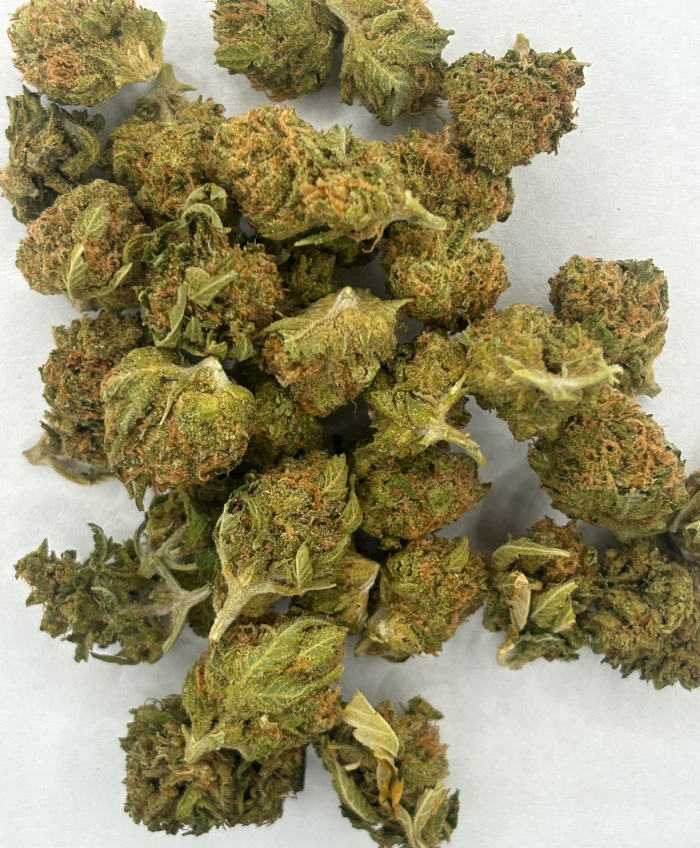 gelato 41 close up bunch