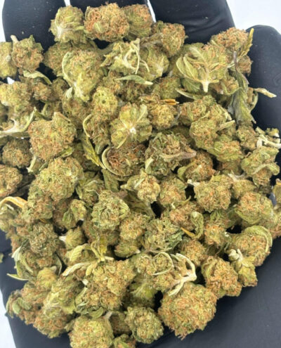 gelato 41 hand bunch