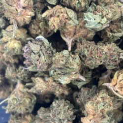 Permanent Marker THCA Flower Indica dominant Hybrid B buds