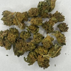 Permanent Marker THCA Flower Indica dominant Hybrid B buds
