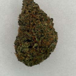 Purple Kush Indica Dominant THCA Flower