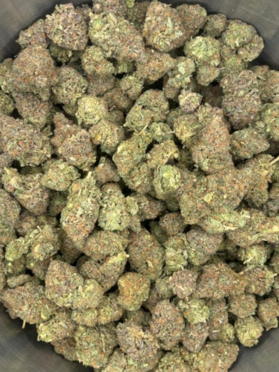 purple kush 1lb for sale