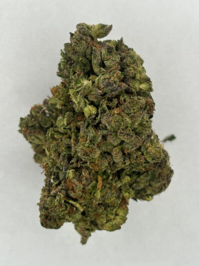 skywalker og 1g