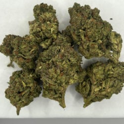 Skywalker OG THCA Flower Indica Dominant