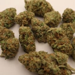 Gas Face Indica Dominant THCA Flower