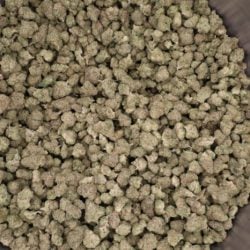 Glitter Bomb B Buds THCA Flower Sativa Dominant