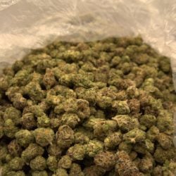 Captain Crunch B Buds THCA Flower Hybrid Indica leaning