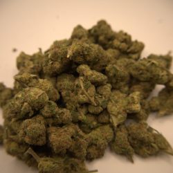 Cheetah Piss Sativa THCA Flower