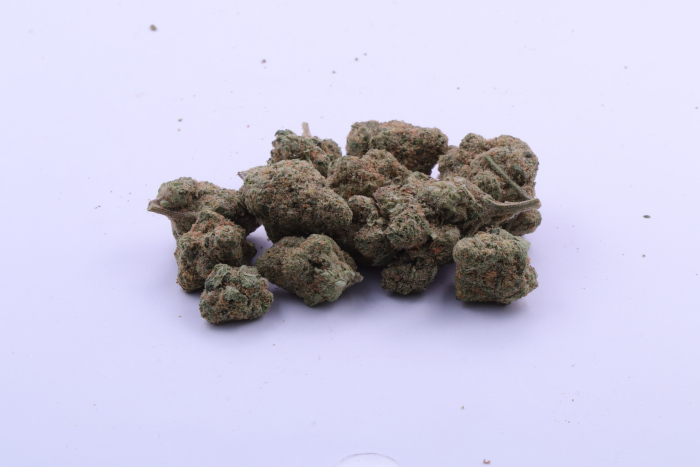 cheetah piss new pics 3