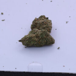 Cheetah Piss Sativa THCA Flower