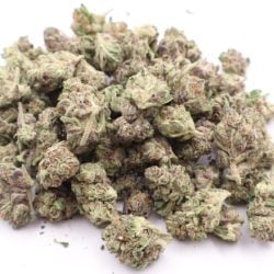 Blue Mamba B Buds THCA Flower Balanced Hybrid