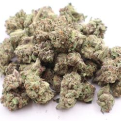 Blue Mamba B Buds THCA Flower Balanced Hybrid