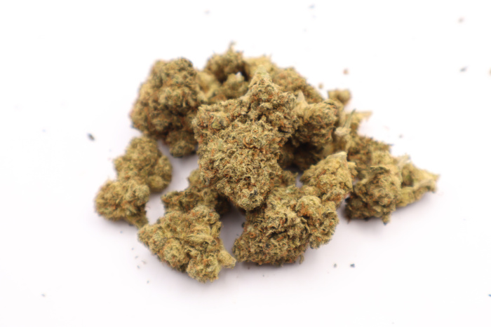 diesel poison new pic bunch